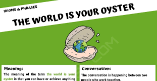 the world is your oyster definition