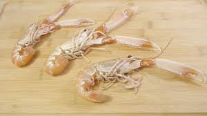 how to cook langoustine 11 steps with