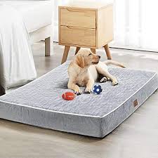 wnpethome orthopedic dog beds for large