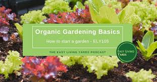Organic Gardening How To Start A