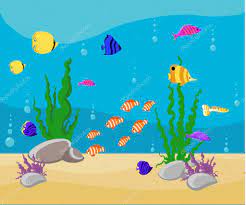 island aquarium fish set