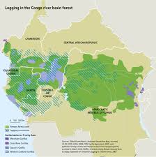It begins at the junction of the lualaba and luvua rivers, in the altai mountains, and flows southwest to the atlantic ocean. Logging In The Congo River Basin Forest Grid Arendal