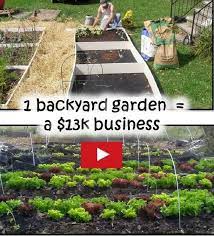 Growing A Business In A Backyard Garden