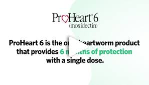 Proheart 12 Moxidectin Resources For Your Practice And