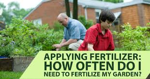 Applying Fertilizer How Often Do I
