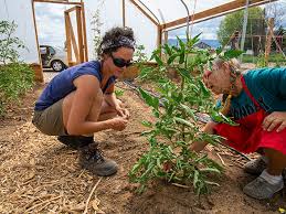 The Greenhouse Project Extension