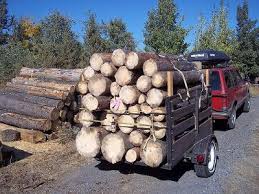 Alternatively, you could also lease your land to another firewood business. My Profitable Hobby