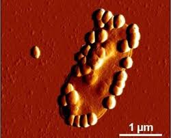 Image result for royalty free images of nanoparticle colloidal silver