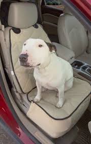 Bucket Seat Covers Dog Car Seat Cover