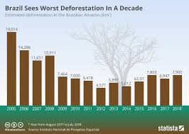 Chart Brazil Sees Worst Deforestation In A Decade Statista