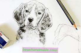 See more ideas about desen, creion, desene artistice. Desene Animale Realiste Cum SÄƒ AtragÄƒ Un Caine Art Blog 2021