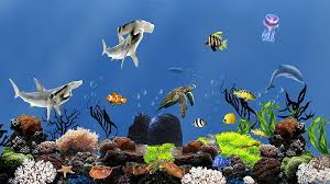 underwater fish aquarium sharks