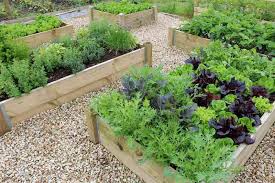 How To Build And Install Raised Garden Beds