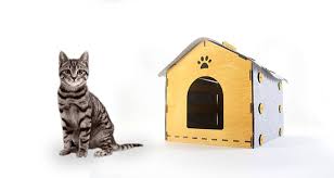 cozy indoor cat house designed in wood
