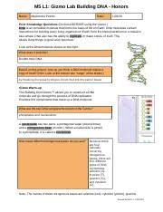 Read online now student exploration disease spread gizmo answer.gizmo answer key unit conversion gizmo worksheet answers pdfsolution answer 6. Vinicio Rodriguez Dna Structure Gizmo Pdf Student Exploration Building Dna Directions Follow The Instructions To Go Through The Simulation Respond Course Hero