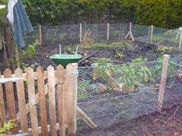 Rabbit Proof Fencing Around Vegetable