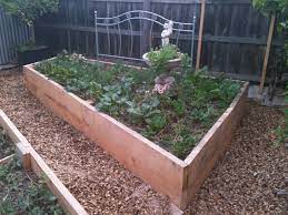 Installed Veg Beds Very Edible Gardens