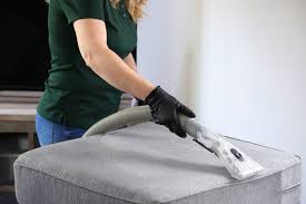 unveiling professional cleaning services