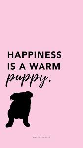 The page with the above quote showed lucy hugging snoopy. Free Hd Dog Quote Wallpapers For Mobile Puppy Quote Happiness Is A Warm Puppy Words 576x1024 Download Hd Wallpaper Wallpapertip