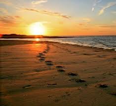 Image result for long walks on the beach
