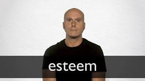 esteem definition and meaning collins