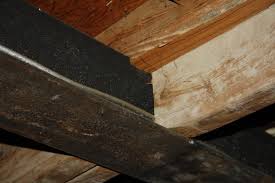 support beam structural inspections