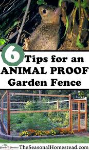 an animal proof garden fence