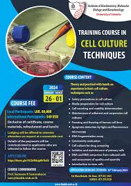 short training courses new insute