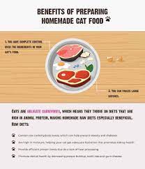 homemade cat food benefits tips how