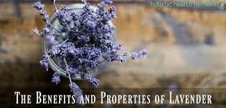 Check spelling or type a new query. The Properties Of Lavender Holistic Health Herbalist