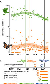 Monarch Butterfly And Milkweed Declines Substantially