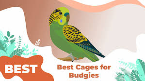 the 5 best bird cages for budgies