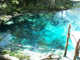 Crystal clear water of the rainbow river. Fanning Springs State Park Wikipedia