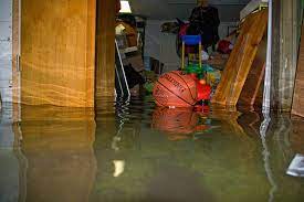 So Your Basement Flooded Now What
