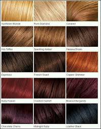 Color Palette Loreal Hair Red Hair Color Hair Color