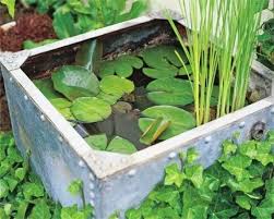 Diy Mini Garden Pond Gardening Tips
