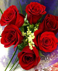Red love rose flower images. Love Rose Photo Download Hd