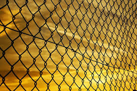 wire mesh fencing fencing quotes