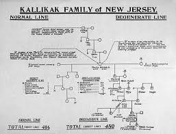Kallikak Family Of New Jersey Pedigree Chart Courtesy Of
