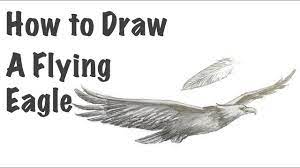 how to draw a flying eagle you