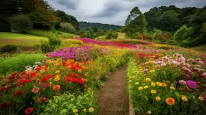 colorful flower garden with wild