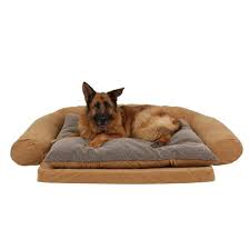 large ortho sleeper comfort couch pet