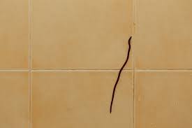 get rid of black worms in bathroom