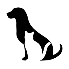 dog on white background stock vector