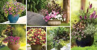 Container Gardening Made Easy English