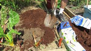 how to use peat moss organic matter in