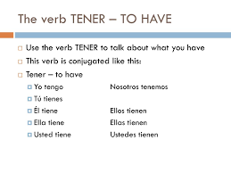 Ppt The Verb Tener Powerpoint Presentation Free Download