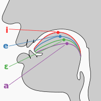 See more ideas about phonetics, phonetic alphabet, speech and language. International Phonetic Alphabet Wikipedia