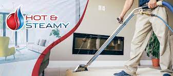 best carpet cleaning in auckland