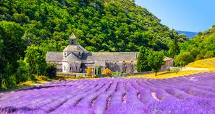 best things to do in provence côte d azur